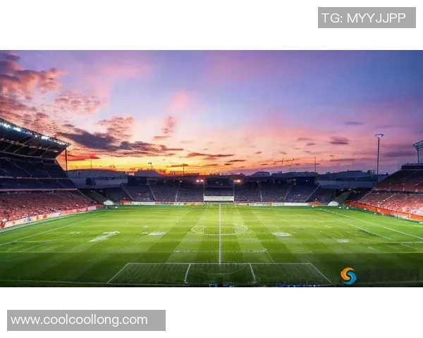 足球明星笔记本：记录绿茵场上的荣耀与梦想的心路历程