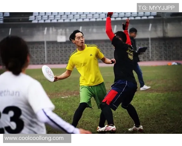 独家分析：重庆飞盘队的实力对比